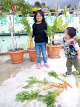 Take our school veggie garden to the next level!