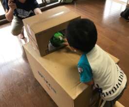 "Alligator goes THROUGH the hole!"