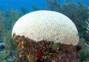 Photo by Michael Webster