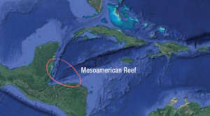 Sample Adaptive Reefscape, Mesoamerican Reef