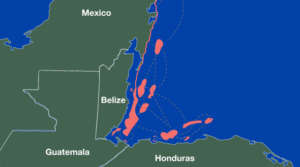 Connected Reefscape Ilustration, Mesoamerican Reef