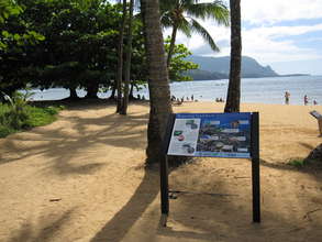 Reef etiquette sign on Kauai