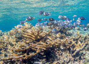 Photo: Michael Webster