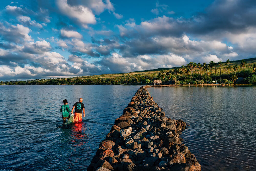 Saving the World's Coral Reefs