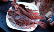 Lionfish - beautiful and delicious!