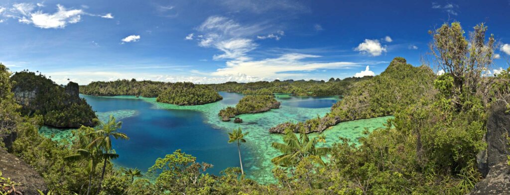 Photo by Tobias Zimmer