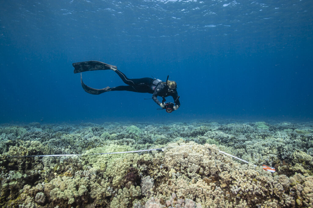 Saving the World's Coral Reefs