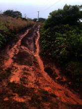 Stormwater on a dirt road in Maui (P: CORAL Staff)