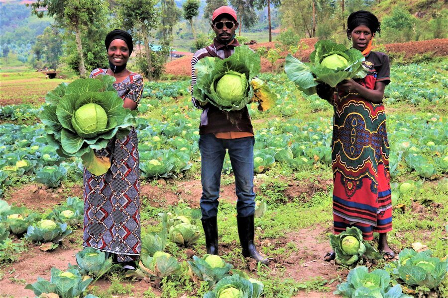 Help Families Grow their Own Food in Rural Uganda