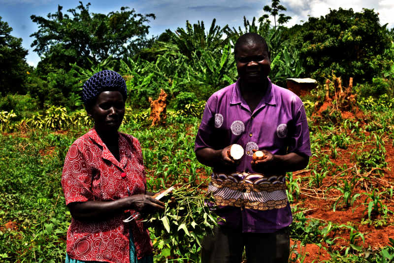 Help Families Grow their Own Food in Rural Uganda