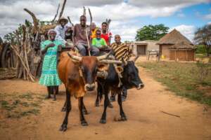 Help Families Grow their Own Food in Rural Uganda