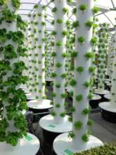Aeroponic Garden - Illustrative purpose only