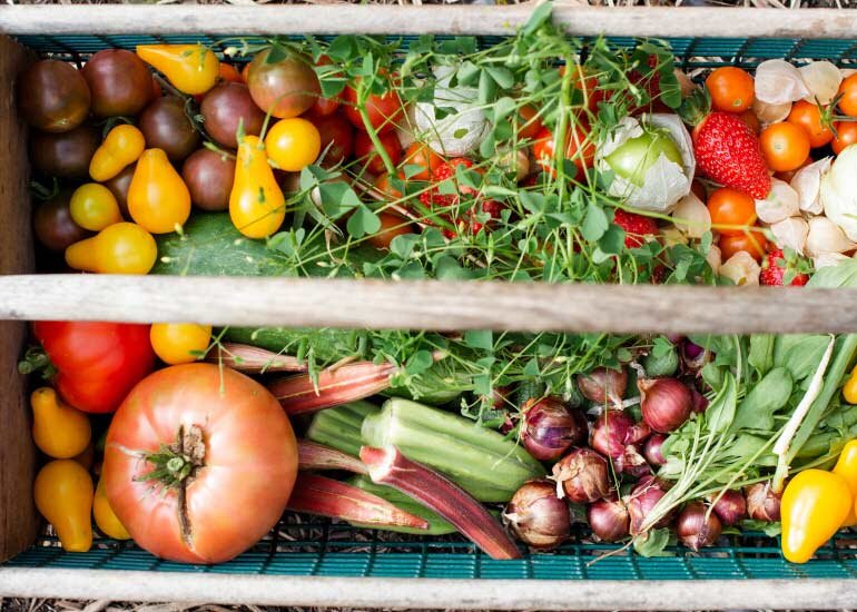 A healthy meal - A Healthy Education