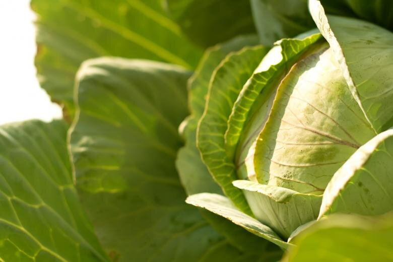 A healthy meal - A Healthy Education