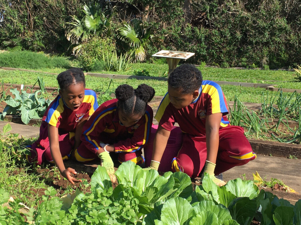 A healthy meal - A Healthy Education