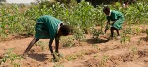 Learners proud to be invovled in their own garden