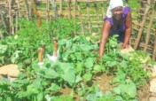 A healthy meal - A Healthy Education
