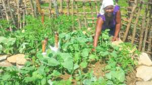 A healthy meal - A Healthy Education