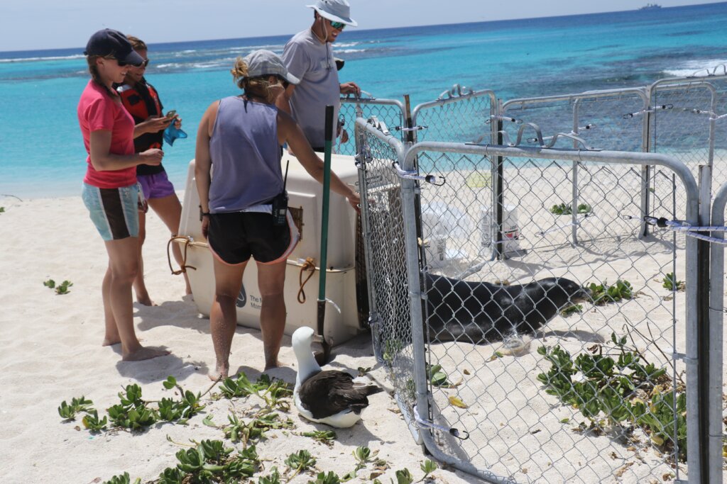 Oceans Are Life - Protecting Marine Resources