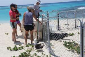Saving All marine life
