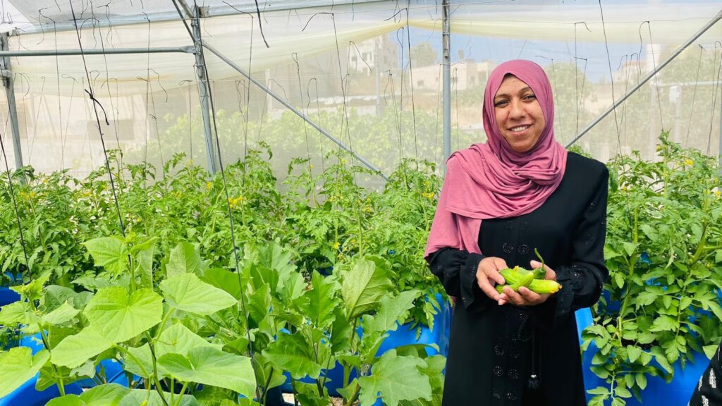 Build Rooftop Gardens for Palestinian Families