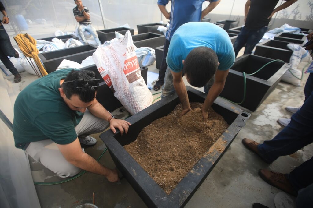 Build Rooftop Gardens for Palestinian Families