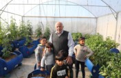 Build Rooftop Gardens for Palestinian Families