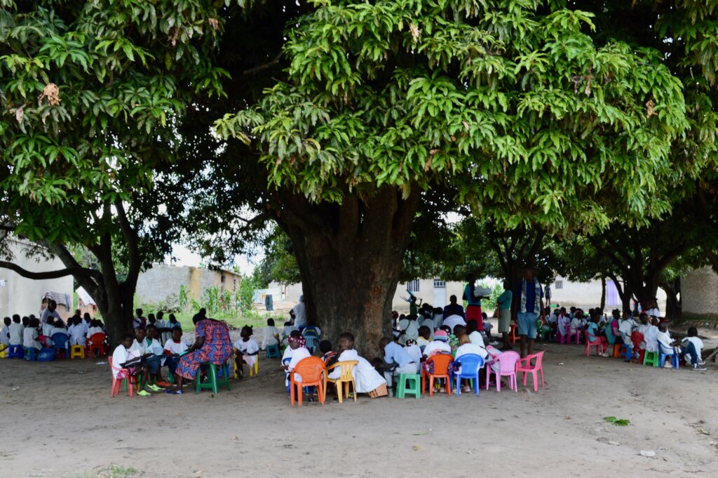 Class under trees