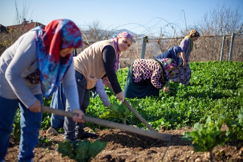 Support Low Income Women Through Cooperatives