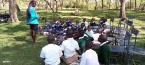 Mentorship Sessions