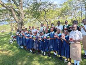 Solar Lamps Distribution