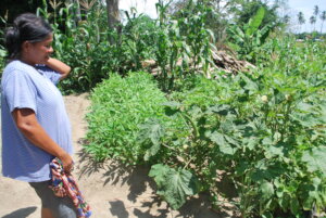 Supporting with garden inputs