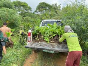 Support provision