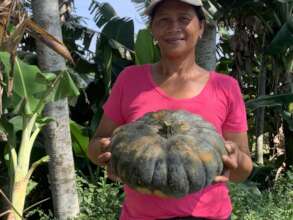 Growing vegetables for food security