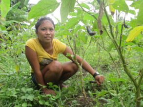 Growing food at home