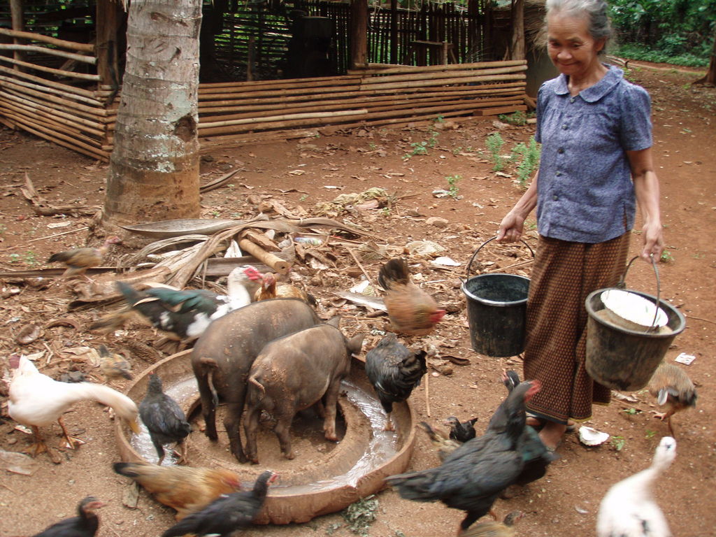 Water storage for rural villages in southern Laos