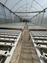 Hydroponic plant production equipment installed