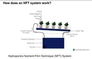 Hydroplanner.com diagram of an NFT System