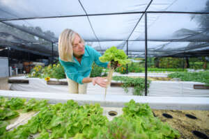 Aquaponics at GPC Foundation