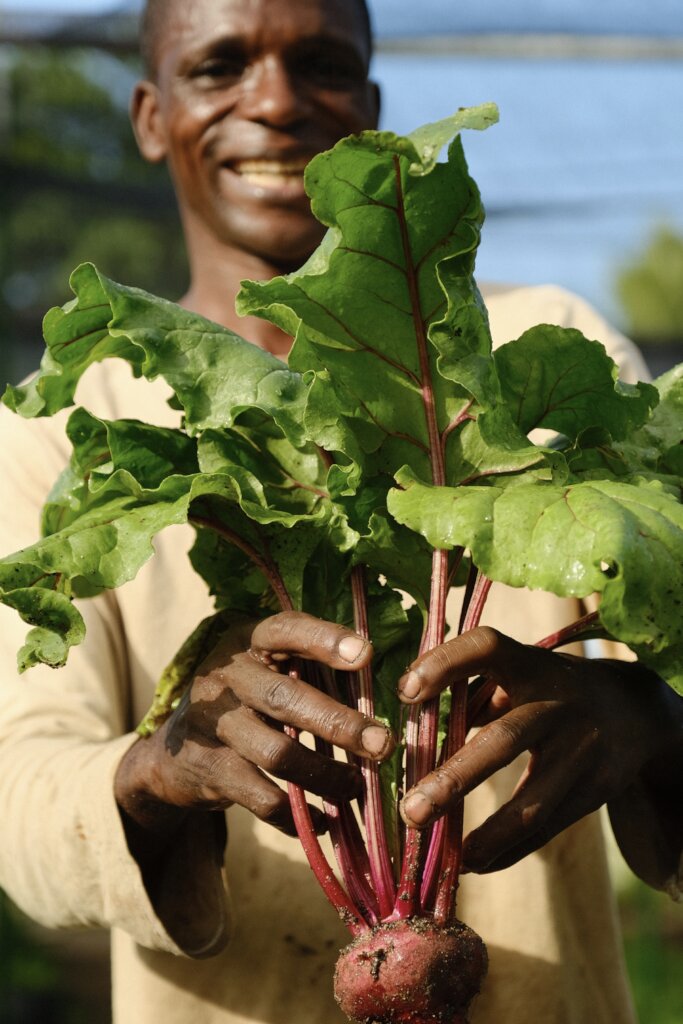 Regenerative Farming in Punta Cana