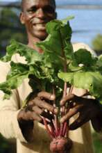 Regenerative Farming in Punta Cana