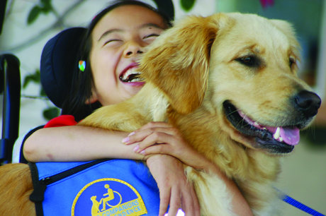 Canine Companions Assistance Dog Team Sponsorship