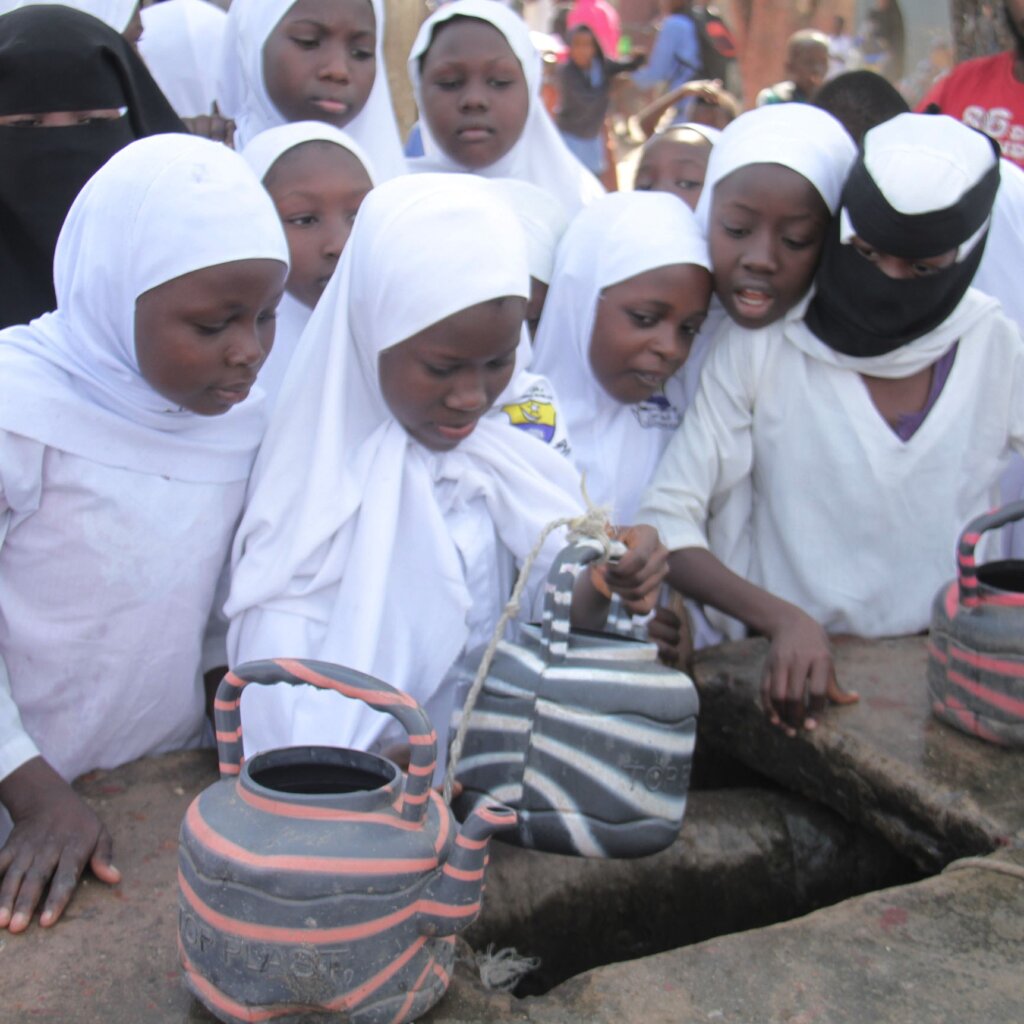 Life-Giving Water Needed for a Gambian Village!