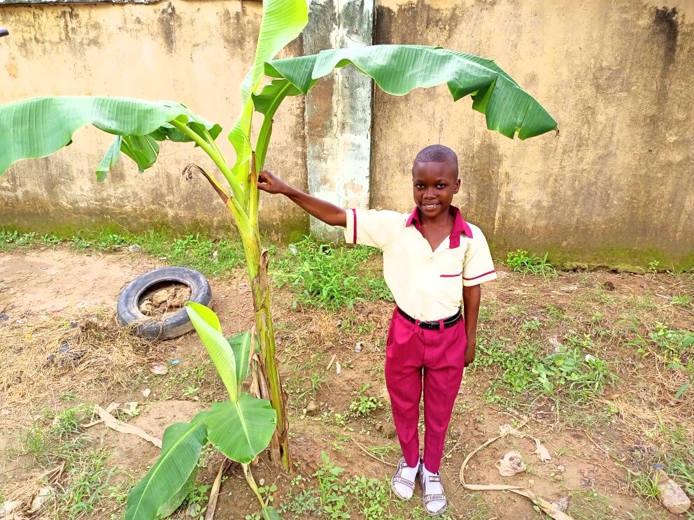 Plant fruit trees and raise happy healthy children