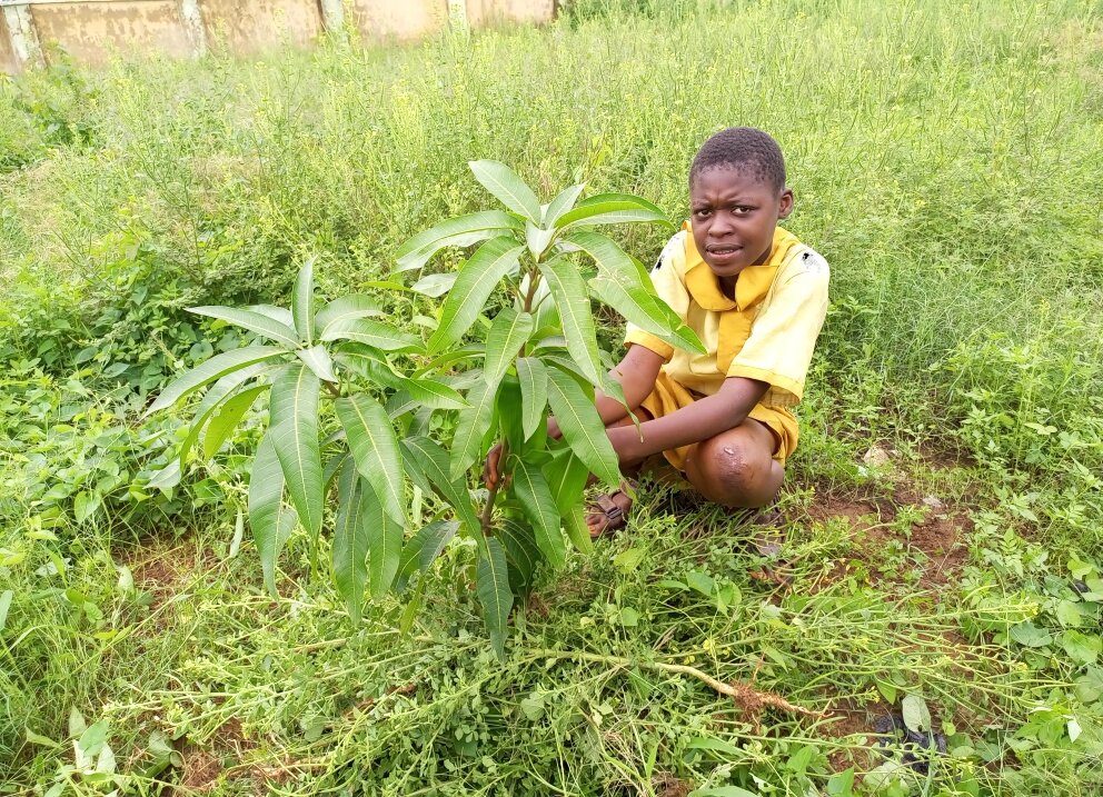 Plant fruit trees and raise happy healthy children