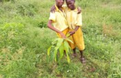 Plant fruit trees and raise happy healthy children