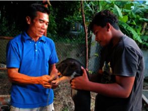New "mouse pig" arrivals at the Training Center.