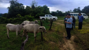 Monitor the conditions of cattle rearing.