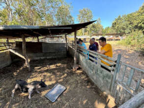 Cambodian Staff at Tabutawan Piggery