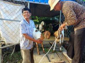 return goats to the livestock bank
